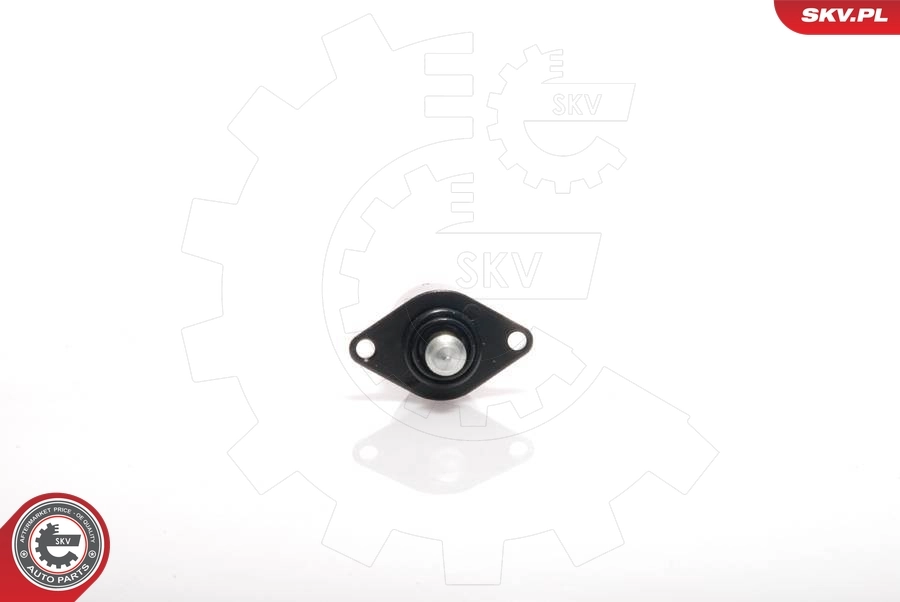 Idle Control Valve, air supply